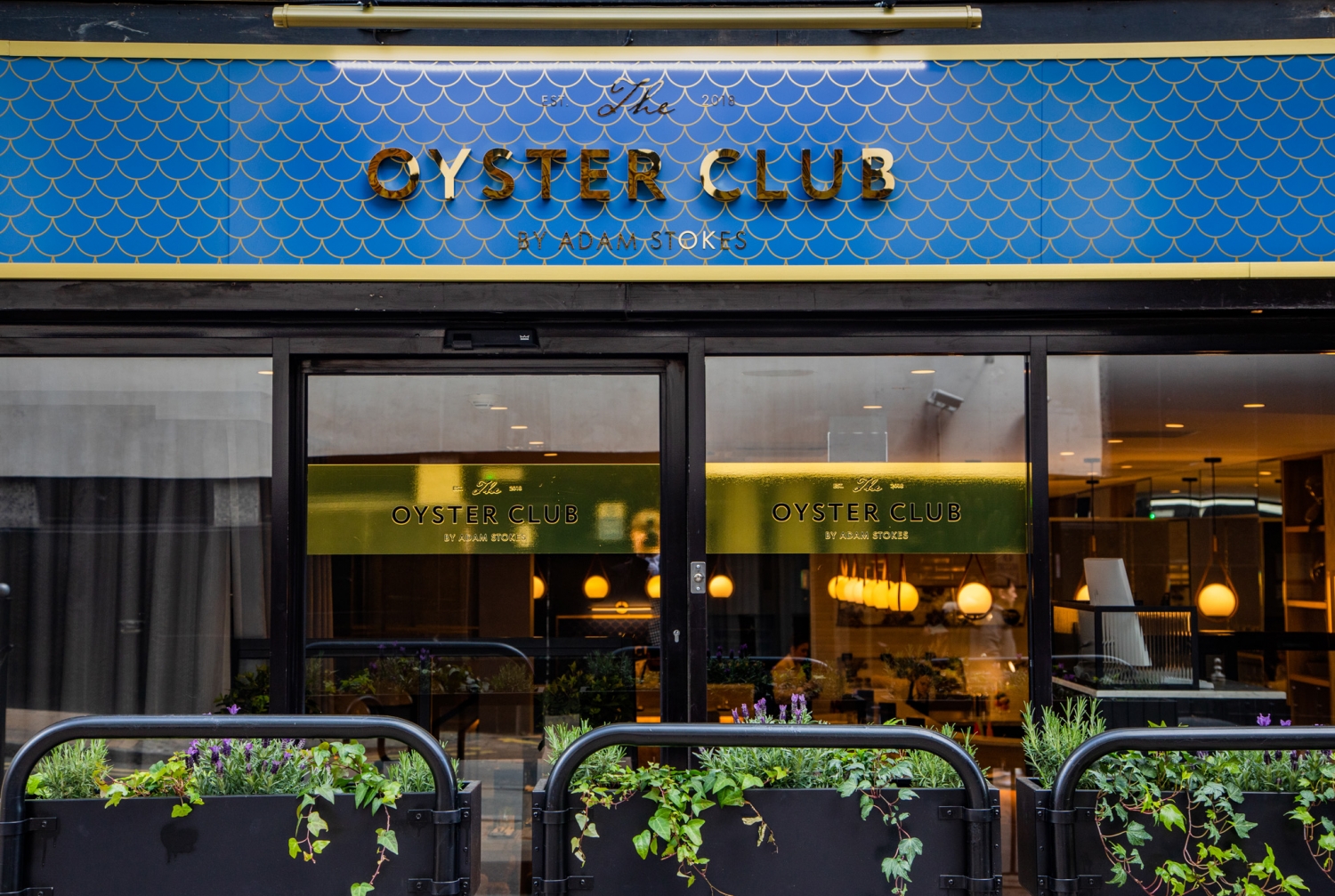 IMG_1240 The Oyster Club by Adam Stokes